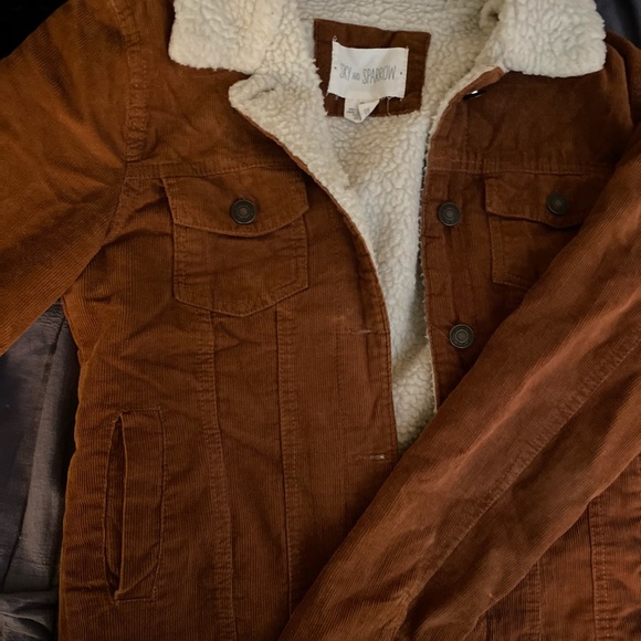 Brown Jacket - Picture 4 of 5
